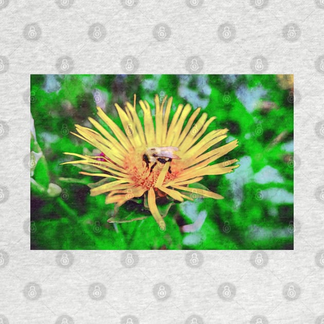 Bee On Elecampane Flower 2 by Robert Alsop